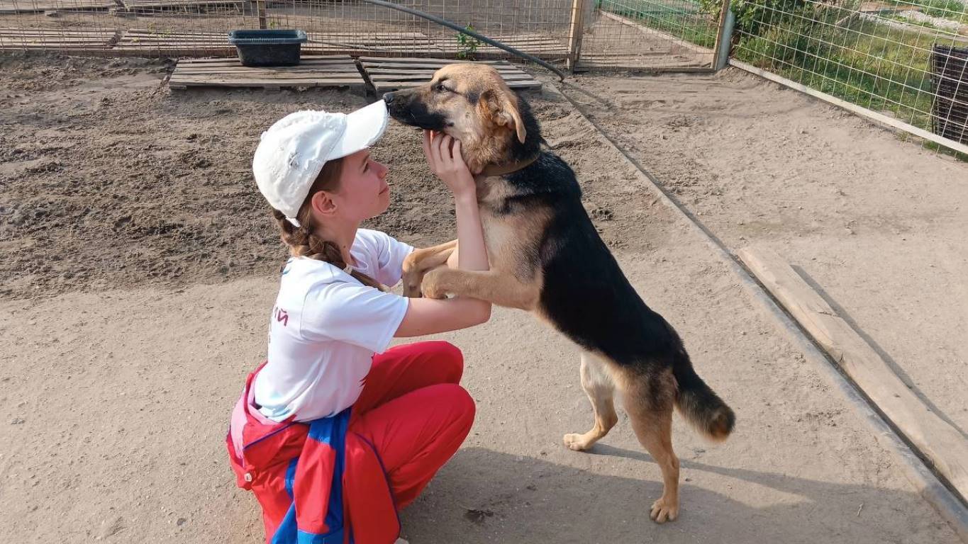 Активисты посетили Курский Приют «Добрый город»